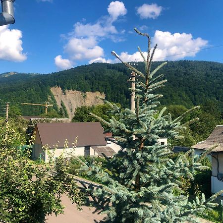 Zyma_Lito Guest House Яремче Екстериор снимка